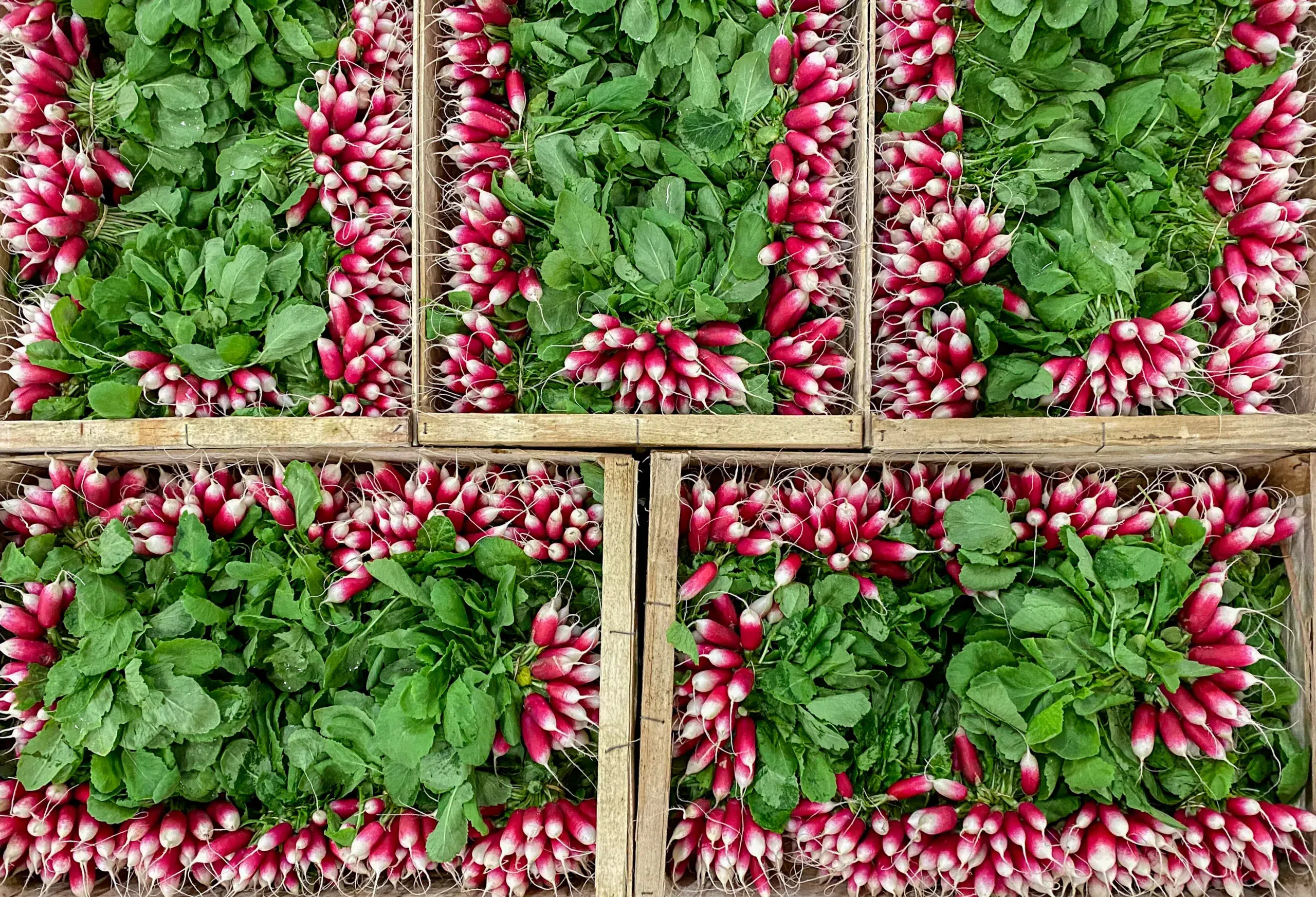 Actualités Environnement – Octobre 2025